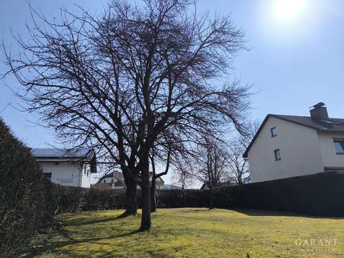Foto - Grundstück zu verkaufen in Regen 120.000,00 € 560 m²