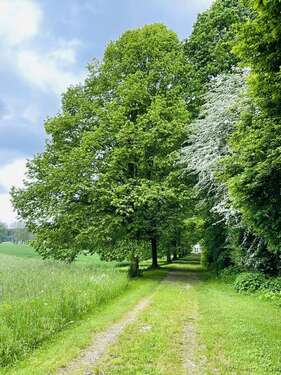 Foto - Grundstück in Kötz 1.350.000,00 € 18400 m²