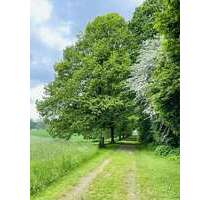 Grundstück in Kötz 1.350.000,00 € 18400 m²