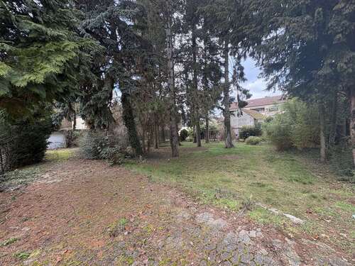 Foto - Grundstück zu verkaufen in Veitshöchheim 1.850.000,00 € 5147 m²