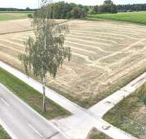 Grundstück in Wiesenbach 419.000,00 € 11500 m²