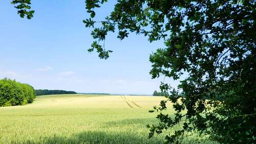 Foto - Grundstück zu verkaufen in Nordwestmecklenburg - Landkreis - Dassow 240.000,00 € 811.62 m²
