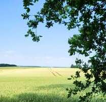 Grundstück zu verkaufen in Nordwestmecklenburg - Landkreis - Dassow 240.000,00 € 811.62 m²