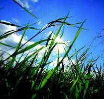 Grundstück zu verkaufen in München 999.000,00 € 335 m²