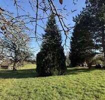 Haus zum Kaufen in Neuhausen auf den Fildern 1.090.000,00 € 313.85 m²