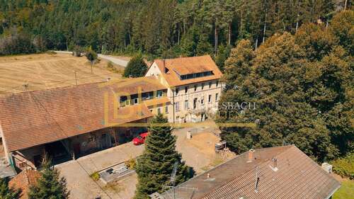 Foto - Haus zum Kaufen in Kaiserslautern 940.000,00 € 1405 m²