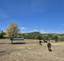 Spezialgewerbe in Gotha 620.000,00 €