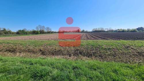 Foto - Grundstück zu verkaufen in Haßloch 309.000,00 € 489 m²