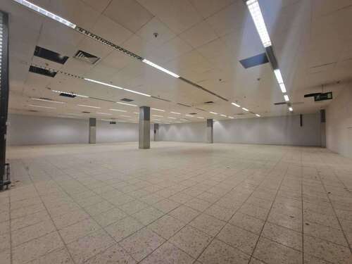 Foto - Halle in SulzbachSaar 1.000,00 € 509 m²