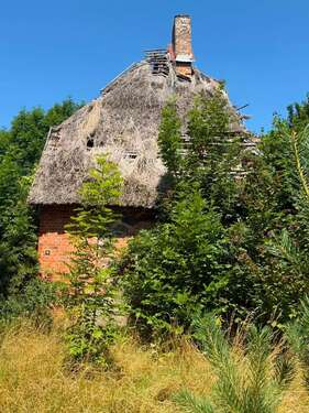 Foto - Haus zum Kaufen in Warin 39.000,00 € 80 m²
