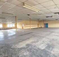 Halle in Hessen - Lampertheim 3.000,00 € 1000 m²