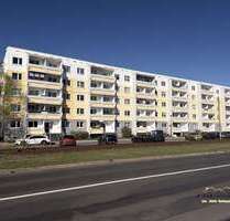 Wohnung zum Mieten in Dessau 400,00 € 56.65 m²