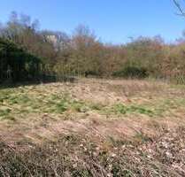 Grundstück zu verkaufen in Kleve 236.000,00 € 827 m²