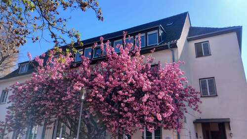 Foto - Haus zum Kaufen in Ludwigshafen 1.295.000,00 € 482 m²