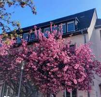Haus zum Kaufen in Ludwigshafen 1.295.000,00 € 482 m²