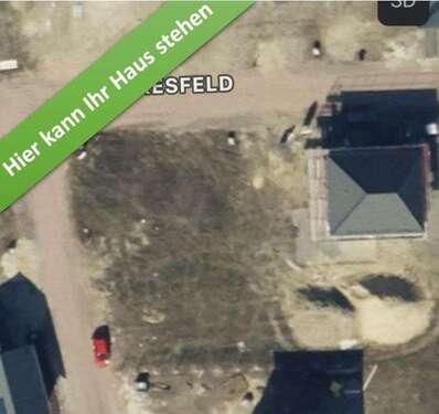 Foto - Haus zum Kaufen in Tülau 381.750,00 € 142 m²