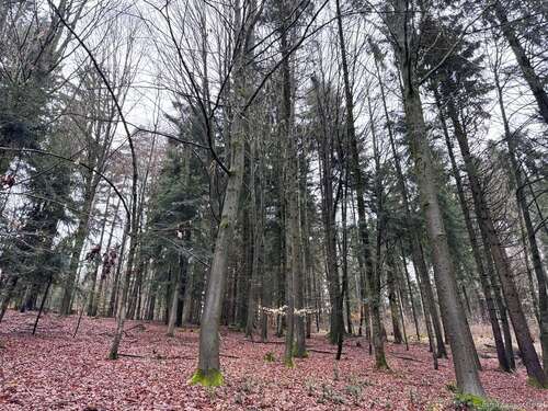 Foto - Grundstück in Deggendorf 65.000,00 € 17850 m²