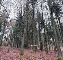 Grundstück in Deggendorf 65.000,00 € 17850 m²