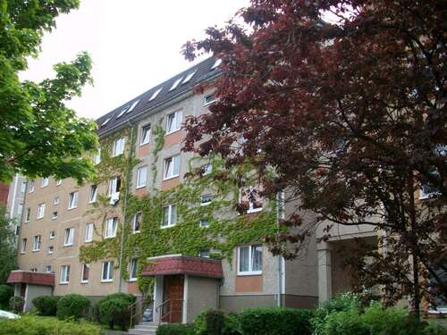 Foto - Wohnung zum Mieten in Suhl 339,58 € 50.79 m²