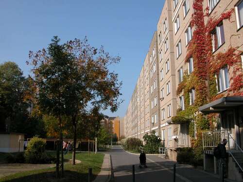 Foto - Wohnung zum Mieten in Dresden 335,00 € 47.43 m²