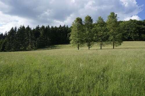 Foto - Grundstück in Weilheim 88.000,00 € 12800 m²