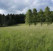 Grundstück in Weilheim 88.000,00 € 12800 m²