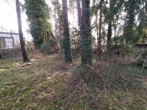 Foto - Grundstück zu verkaufen in Wedemark 560.000,00 € 2728 m²