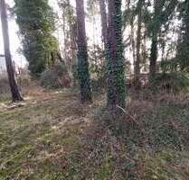 Grundstück zu verkaufen in Wedemark 560.000,00 € 2728 m²