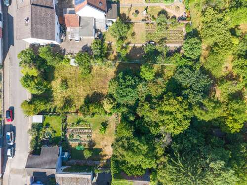 Foto - Grundstück zu verkaufen in Zwingenberg 650.000,00 € 984 m²