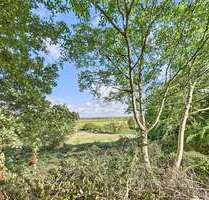 Grundstück zu verkaufen in Langerwehe 198.500,00 € 1329 m²