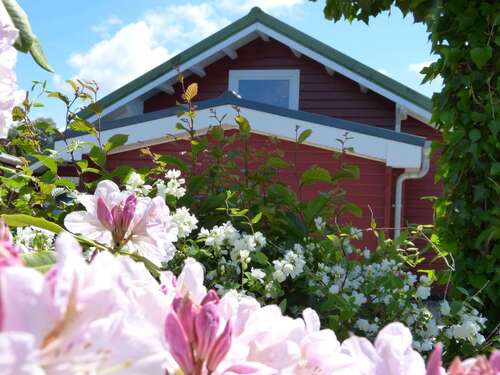 Foto - Haus zum Kaufen in Neuhaus 158.000,00 € 70 m²