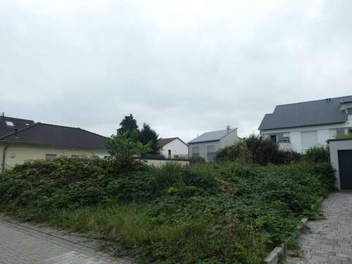 Foto - Grundstück zu verkaufen in Riedstadt 300.000,00 € 404 m²