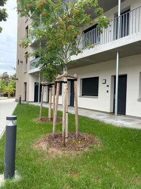 Foto - Wohnung zum Mieten in Erlangen 571,20 € 26.11 m²