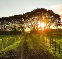 Grundstück zu verkaufen in Lörrach 999.000,00 € 995 m²