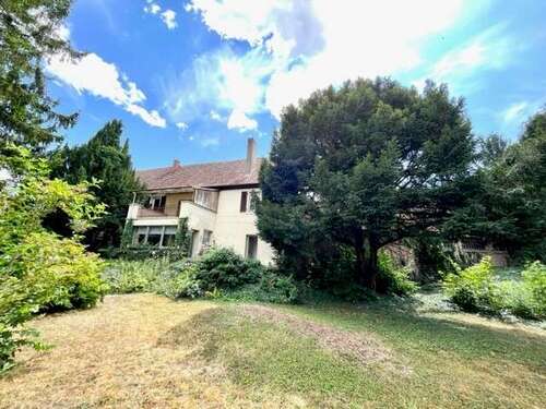 Foto - Grundstück zu verkaufen in Hahnheim 598.500,00 € 2275 m²