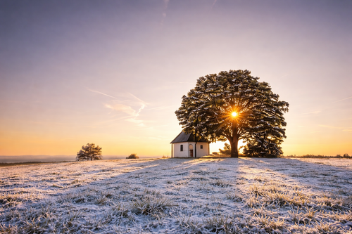 Foto - Wohnung zum Kaufen in Weiden 419.000,00 € 81.5 m²