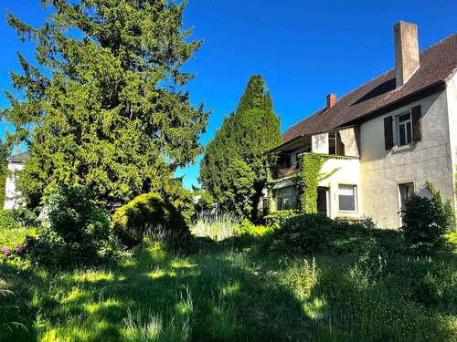 Foto - Haus zum Kaufen in Hahnheim 598.500,00 € 290 m²