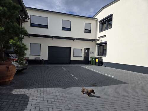 Foto - Spezialgewerbe in Offenbach 2.300,00 € 160 m²