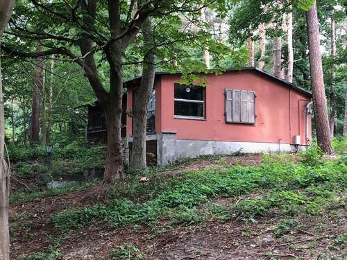 Foto - Haus zum Kaufen in Zempin 199.000,00 € 53 m²