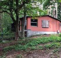 Haus zum Kaufen in Zempin 199.000,00 € 53 m²