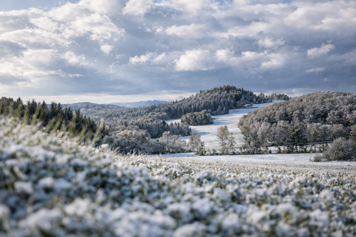 Foto - Wohnung zum Kaufen in Weiden 435.000,00 € 81.72 m²