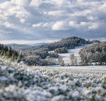 Wohnung zum Kaufen in Weiden 435.000,00 € 81.72 m²