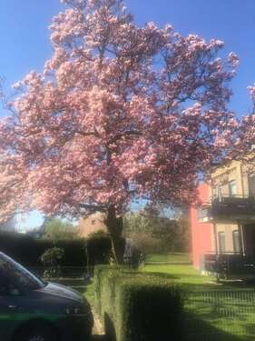 Foto - Wohnung zum Kaufen in Kaarst 364.000,00 € 84.65 m²