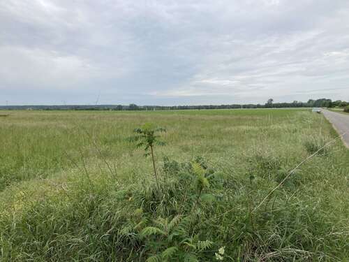 Foto - Grundstück zu verkaufen in Siestedt 99.000,00 € 10000 m²
