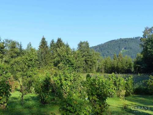 Foto - Wohnung zum Kaufen in Inzell 395.000,00 € 125 m²