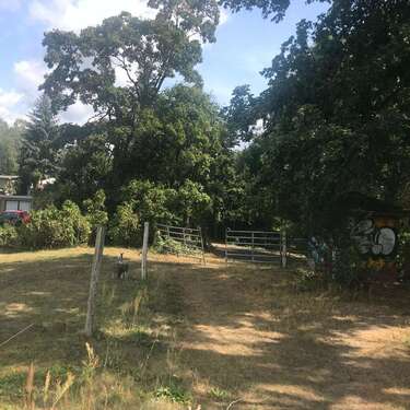 Foto - Grundstück in Berlin 240.000,00 € 4500 m²