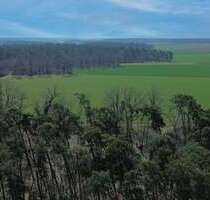 Haus zum Kaufen in Stein bei Nürnberg 698.000,00 € 154 m²