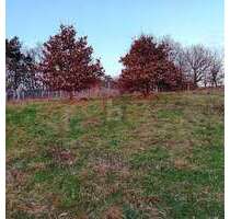 Grundstück zu verkaufen in Kinderbeuern 89.500,00 € 1404 m²