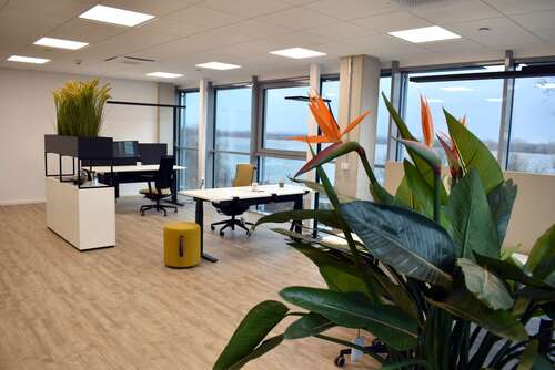 Foto - Büro in Wedel 1.300,00 € 76.75 m²