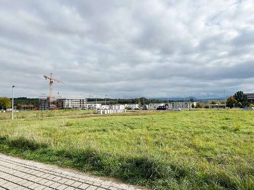 Foto - Haus zum Kaufen in Wernau 699.800,00 € 142 m²